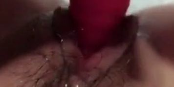 pussy