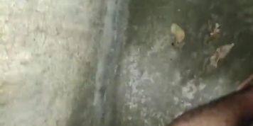 India Porn HD Video Homemade Love Sex Rom