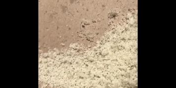 Teen cuck eats foot skin and toenails from his mistress