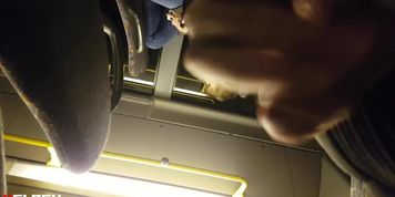 dickflash cum for teen bus