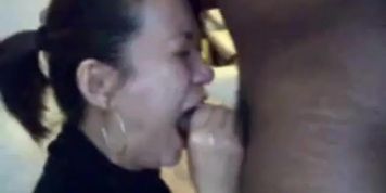 Amateur asian sucking bbc