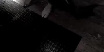 Amateur - Kinky BiSex Swingers Party (Cotton Candi, Sybelle Watson)