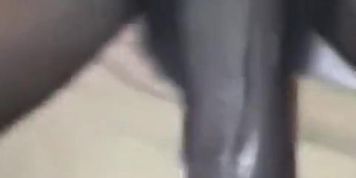 She asked me to put my cock inside her pacing pussy (Good head)
