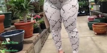 b ass