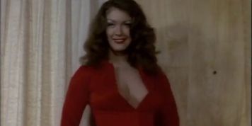 SuperVixens (Colleen Brennan, Shari Eubank, Uschi Digard)