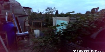 Another day at the allotment part 1 - video 1
