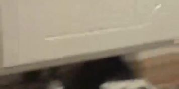 Gay VIrgin Man Fucks Pussy for the First time EVER