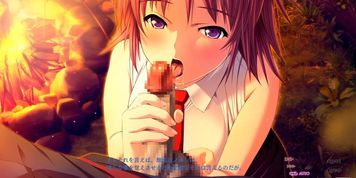 Chaos Dominas 2 (Visual_Novel)
