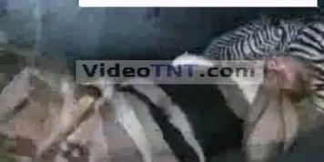 sex porn nude fuck naked pussy tits ass butt fucked hardcore anal sex