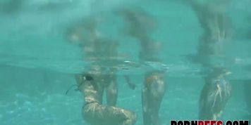 Megan Sage, Trillium, Alex Grey, Nickey Huntsman In Summer Pool Party
