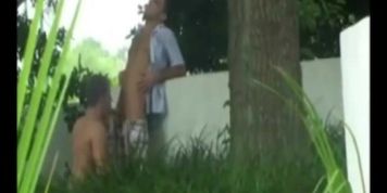 Gay Stuff in the Park?