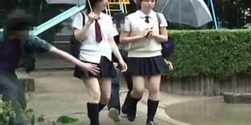 Sharking. love japan