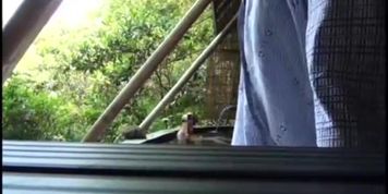 Asian girl flashing in public. Strangers want to play with her