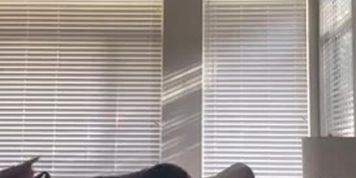 gingerteen & friend blowjob,swallow