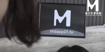 ??????????/MD-0163 ???????002????