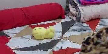 MEMEK IBU KANDUNG FULL DI Https://s.id/FbMbl