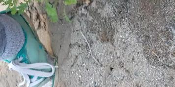 Making A Piss Puddle In the Sand