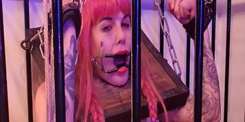 Fucking Machine Screw Submissive Girl Who Is Chained In Cage And Pillory