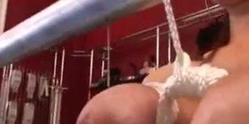 ??????????? ?????