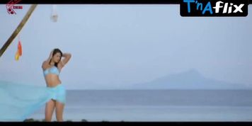 Shraddha Das Butt,  Breasts Scene  in Siddu From Srikakulam