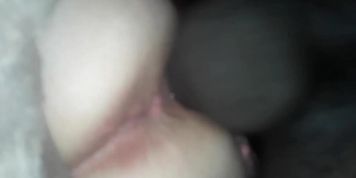 Masters BBC stretching slave pups pussy