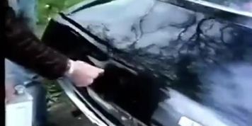 Naughty Girls getting fucked after School