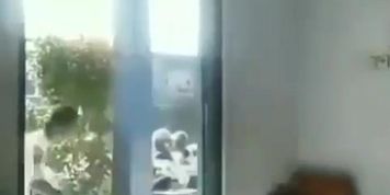Cah Sekolah