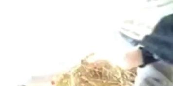 arab amateur blowjob