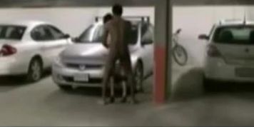 Grosse pute prise dans un parking