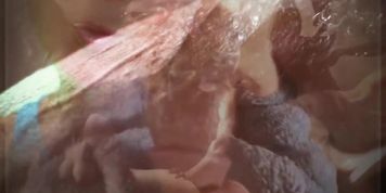 [Goon Sesson] Stoner BBC Worship