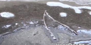 Japanese babes filmed peeing all around town