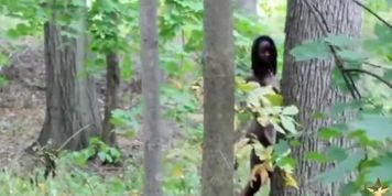Nude forest