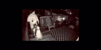 Sucking cock on hidden cam
