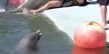 cumming on lady