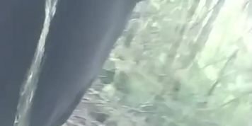 Trail pee