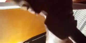 Fit Milf Swinger Blowjob 2