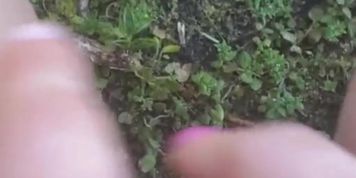 Sexy landscaper masturbates n SQUIRTS ON A JOB SITE
