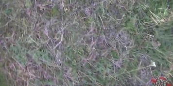 Bitch STOP - Tattooed hooker Eva fucked outdoor (My Balls)