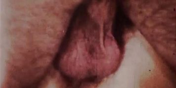 Bree Anthony  Rendezvous Film 2  Cum Alive!  1976