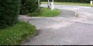 He picks up and fucks curly bbw