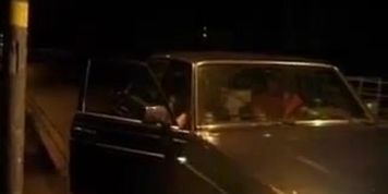 german Milf picked up for outdoor anal