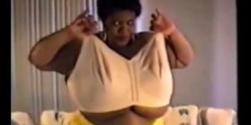 norma in yellow