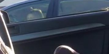 Car Flash Shocked Milf 1