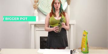 The Art of Repotting | Fertile Myrtle Dont kill your plants.. by onlyfans from OnlyFans | Coomer