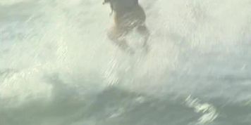 Surf Fuckers - Elena Nikulina