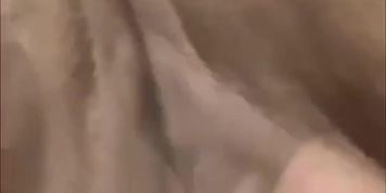 Kittens playtime 