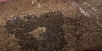 Spread pussy steamy piss