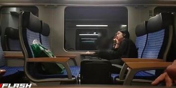 Cock Flash On Train