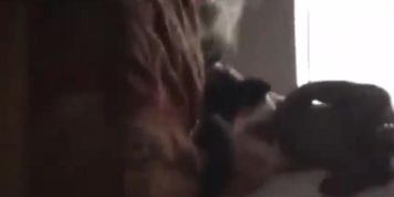 rock hard boy pounds best friends step mother