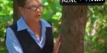 Monique Parent Breasts,  Bush Scene  in Hotel Erotica